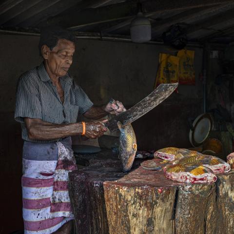 one of Sri Lanka’s largest and busiest seafood hubs, a man fillets a freshly bought fish. 