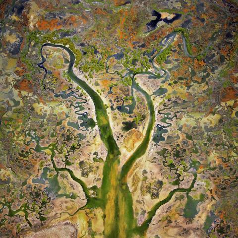Aerial of green rivers winding through a landscape