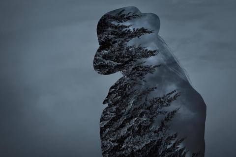 Shape of a man made with pine tree branches