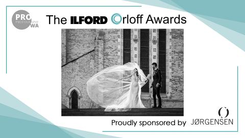 Image by Erica Serena