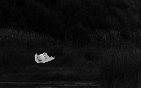 Image by Paul Jarvis