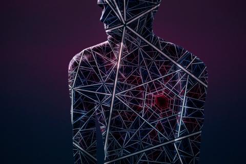 Image by Johannes Reinhart