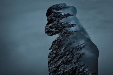 Image by Johannes Reinhart